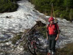 11_tole in schena.JPG